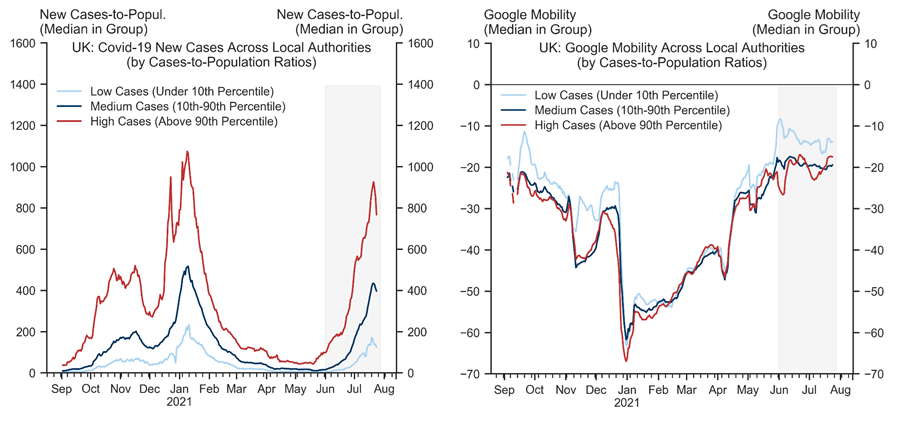 4. Some Drag on Mobility from Very High Cases. Data available on request.