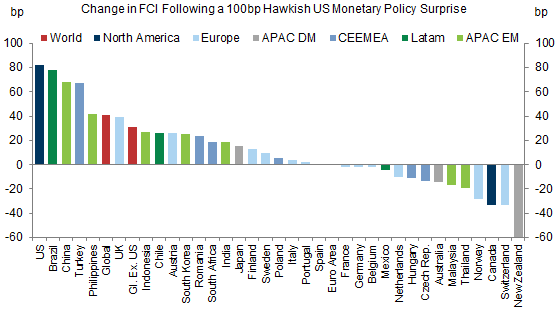 4. A 100bp Hawkish Fed Policy Surprise Tightens FCIs Most in the US, Brazil, China, and Turkey but Eases FCIs in New Zealand, Switzerland, Canada, and Australia. Data available on request.