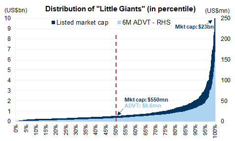 25. Many "Little Giants" are small/mid caps and have relativley thin liquidity at the tail end. Data available on request.