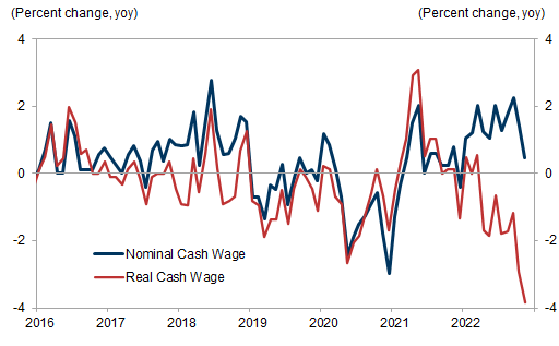 10. Real wage growth remains very weak in Japan. Data available on request.