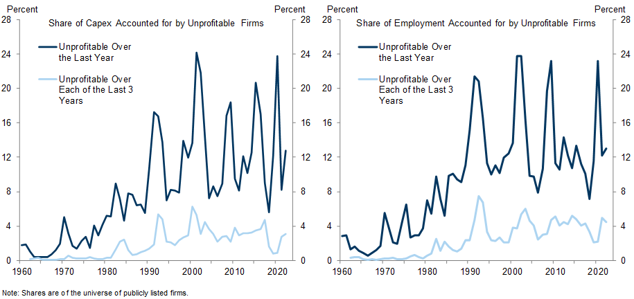 8. Unprofitable Firms Account for About 13% of Employment and Capital Spending, and Even Just the Persistently Unprofitable Firms Account for 5% of Employment. Data available on request.