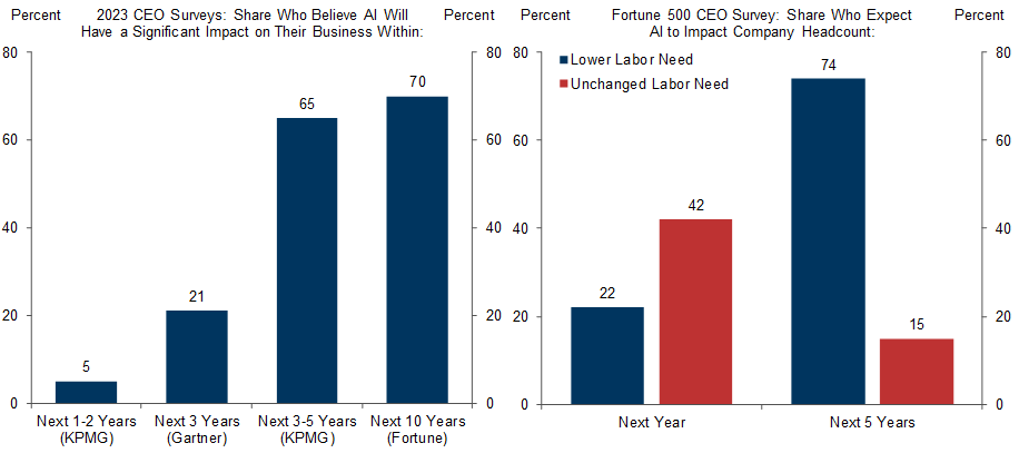10. Business Leaders Expect a Somewhat Slow Adoption. Data available on request.