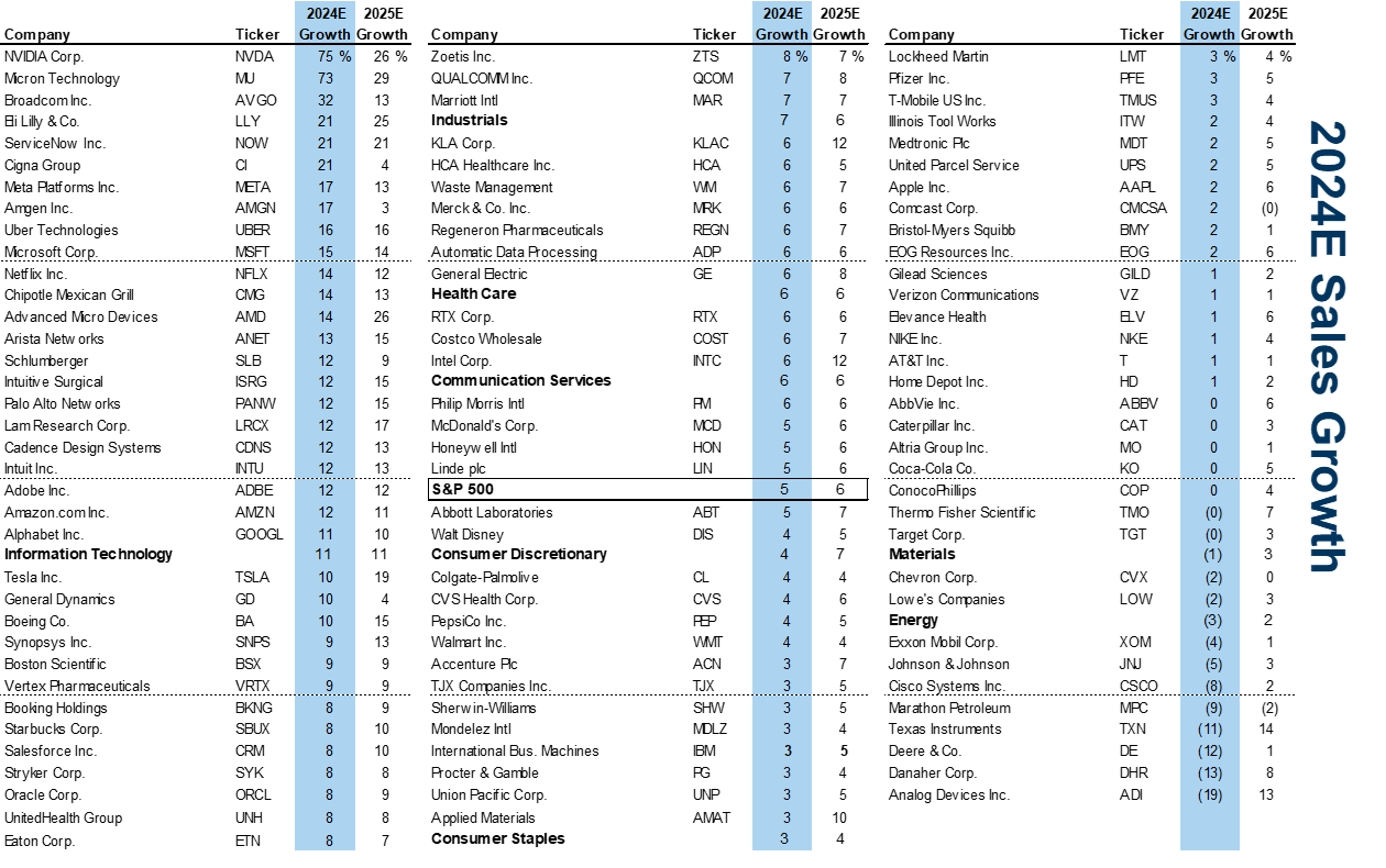 4. The 100 largest stocks in the S&amp;P 500 ranked by 2024E sales growth (excludes Financials, Utilities, and Real Estate). Data available on request.
